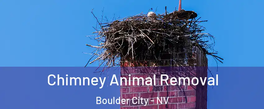 Chimney Animal Removal Boulder City - NV