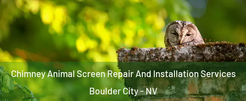  Chimney Animal Screen Repair And Installation Services Boulder City - NV