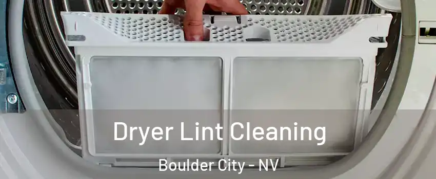  Dryer Lint Cleaning Boulder City - NV