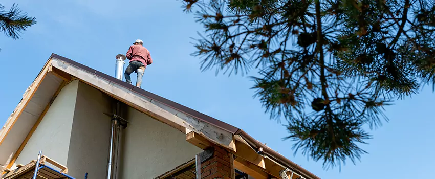 Birds Removal Contractors from Chimney in Boulder City, NV